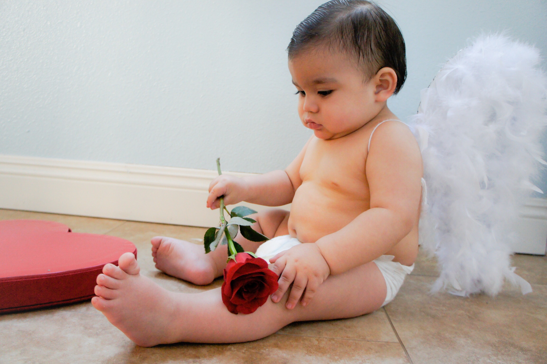 Cupid Baby Wings - DIY
